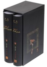 امپراتوری هخامنشی (۲ جلدی)(بدون قاب)