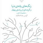 رنگ هاي رفته ي دنيا