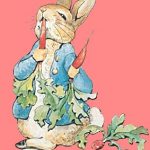 قصه‌های پیترخرگوشه و دوستان (مجموعه ۲۰ جلدی)
