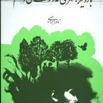 بار دیگر شهری که دوست می‌داشتم