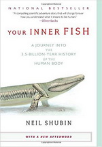 41SLn6+LPKL._SX323_BO1,204,203,200_ our Inner Fish: A Journey into the 3.5-Billion-Year History of the Human Body - تصویر 1