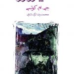استاد پترزبورگ 💯