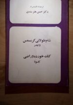 شام طولانی کریسمس - کتک خورده و راضی