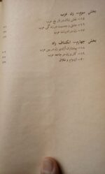 چهره عریان زن عرب - تصویر 2