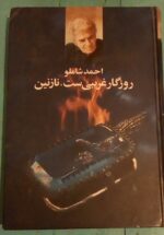 روزگار غریبی ست، نازنین