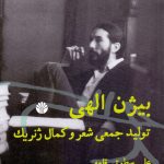 بيژن الهی (توليد جمعی شعر و كمال ژنريک)