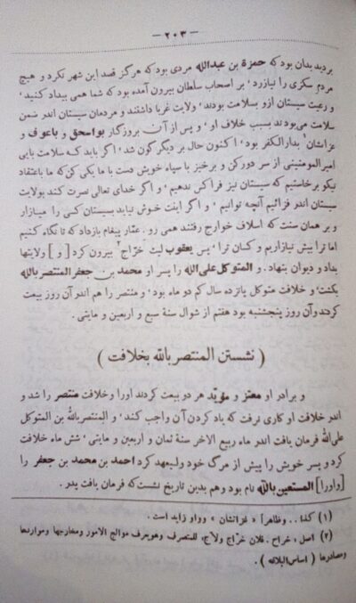 تاریخ سیستان - تصویر 3