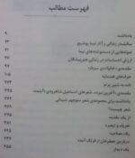 نیما یوشیج - تصویر 2