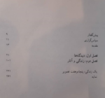 راز مانا (زندگی و دیدگاه های استاد محمدرضا شجریان) - تصویر 2