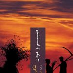 فمینیسم و مردان