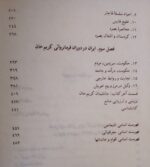 کریم خان زند - تصویر 8
