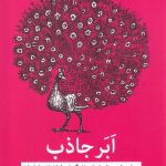 ابر جاذب