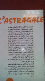 قوزک پا - تصویر 2