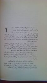 قوزک پا - تصویر 4