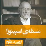 مسئله ی اسپینوزا