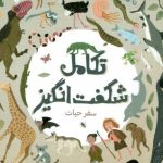 تکامل شگفت انگیز