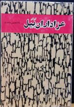 عزاداران بیل (جلد پوست ماری)