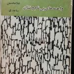 واهمه های بی نام و نشان (جلد پوست ماری)