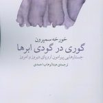 گوری در گودی ابرها