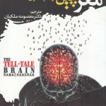 مغز سخن چین