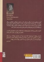اتیپل (روزگار آب شدن یخ ها) - تصویر 2