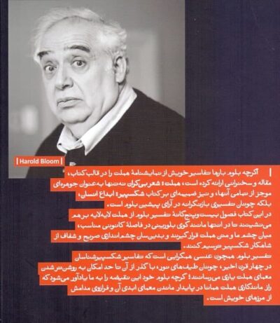 هملت: شعر بی کران - تصویر 4
