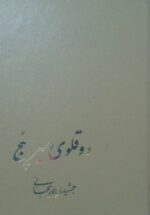 دوقلوی میرپنج