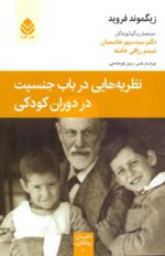 نظریه‌هایی در باب جنسیت در دوران کودکی