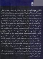 درمانگری مولانا - تصویر 2