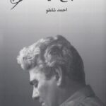 باغ آینه
