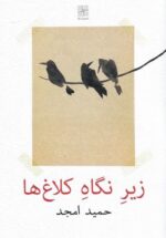 زير نگاه كلاغ‌ها