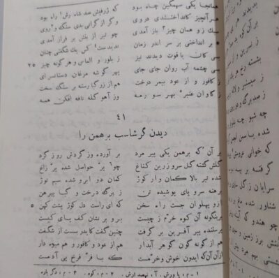 گرشاسب نامه - تصویر 10