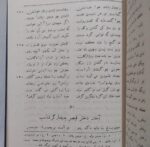 گرشاسب نامه - تصویر 9