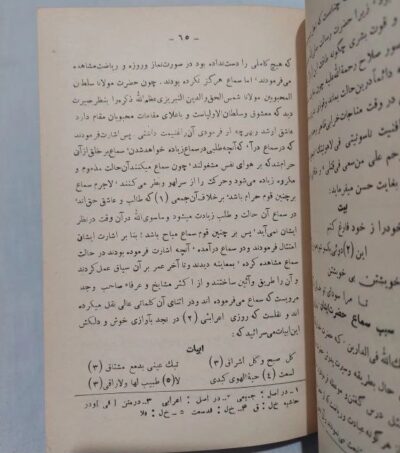 رساله فریدون بن احمد سپهسالار (احوال مولانا جلال الدین مولوی) - تصویر 3