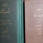 جنگ بین المللی ۱۹۱۸ - ۱۹۱۴ (۲جلدی)