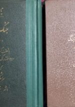 جنگ بین المللی ۱۹۱۸ - ۱۹۱۴ (۲جلدی)