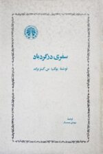 سفری در گردباد