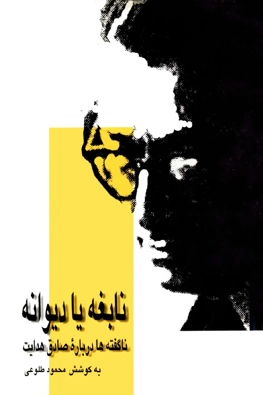 Nabghh_ya_dyvanh_nagfth_ha_darbarh_sadgh_hdayt1 نابغه یا دیوانه: ناگفته ها درباره صادق هدایت - تصویر 1