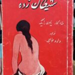 شیطان زده