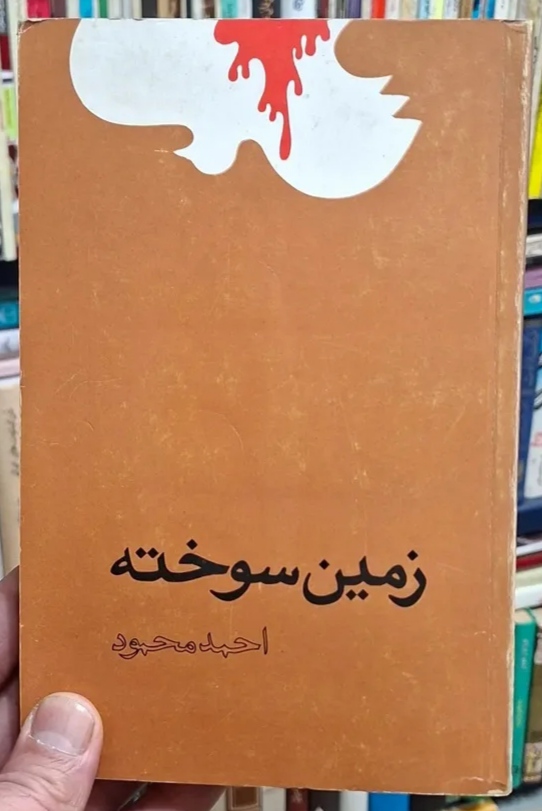IMG_20251221_122007 زمین سوخته - تصویر 1